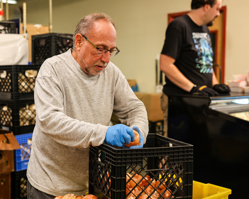 Man inspecting cartons of apples