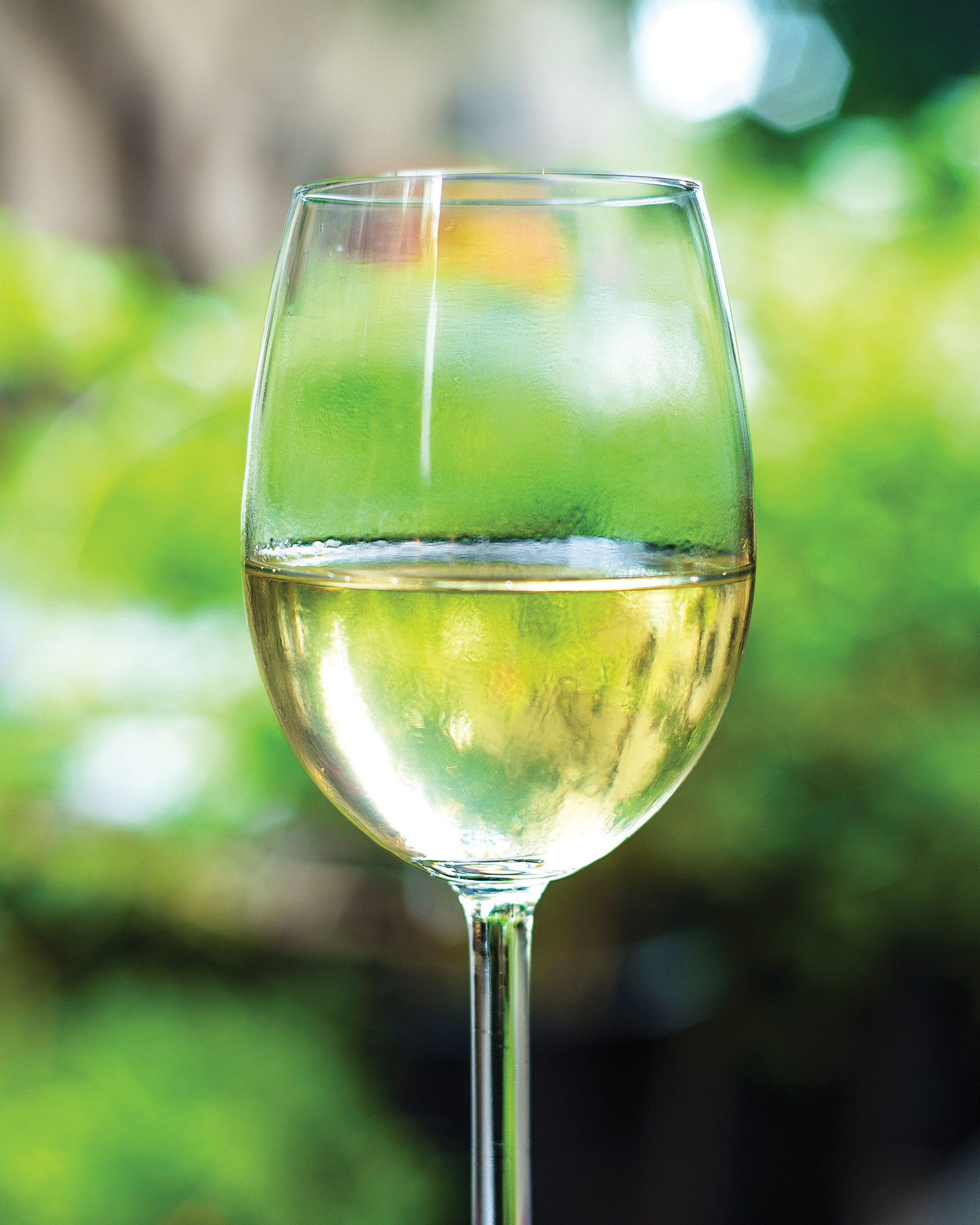 glass of white wine