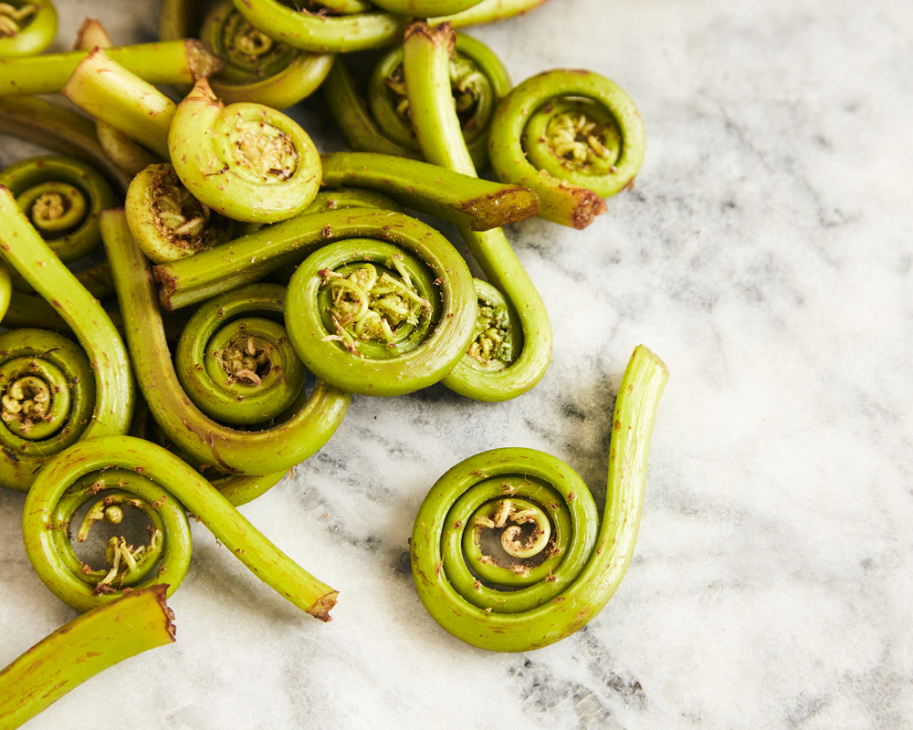 Fiddleheads on granite background