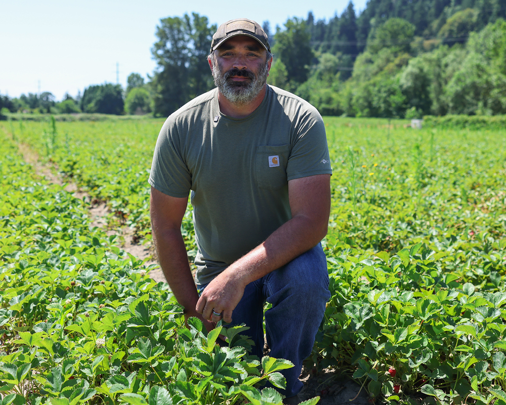 Sam Spooner knelling in strawberry field