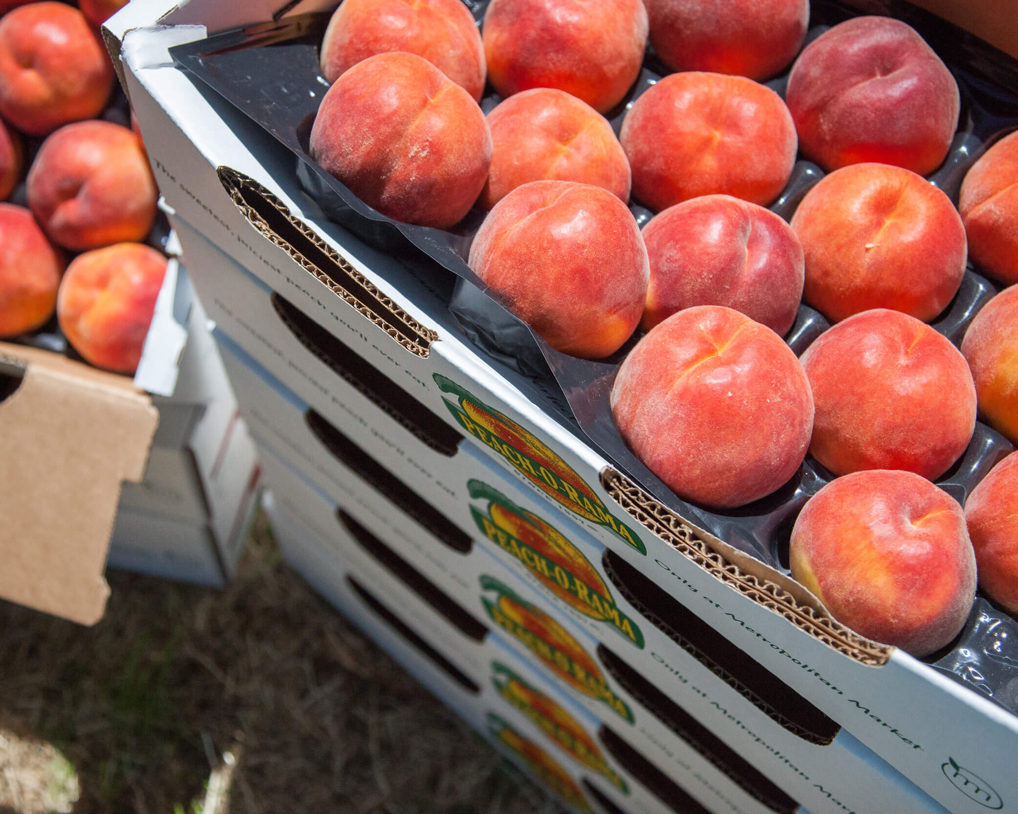 Peaches in box