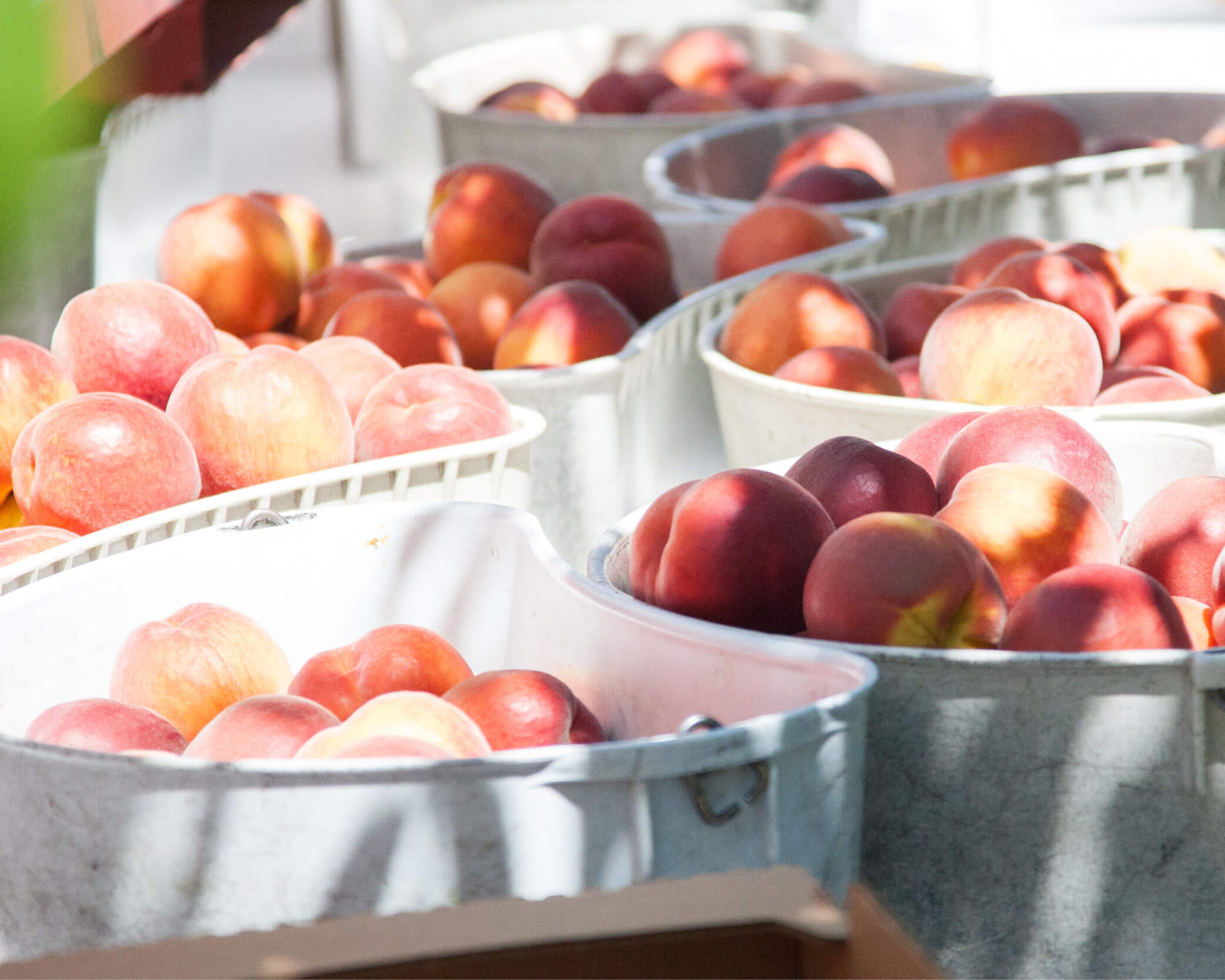 Peaches in buckets