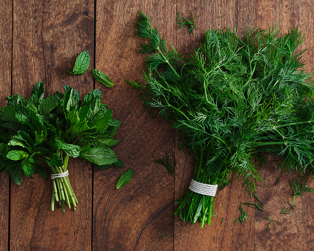 Mint and dill bundles